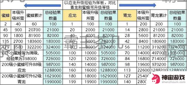 解密寻道大千丨揭秘灵兽数值！蜜蜂对决应龙与青龙