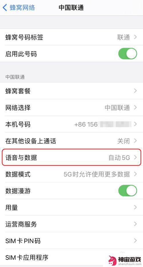 苹果手机如何开启5gsa模式