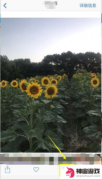 苹果手机如何在照片上加文字