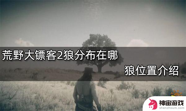 荒野大镖客2灰狼分布