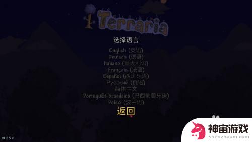 泰拉瑞亚怎么起中文名